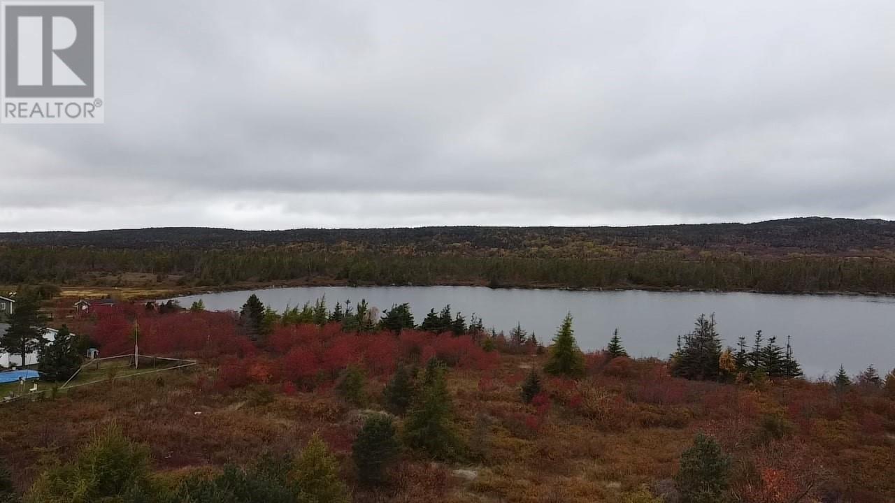 22 Battery Road, Spaniards Bay, Newfoundland & Labrador  A0A 3X0 - Photo 3 - 1291581