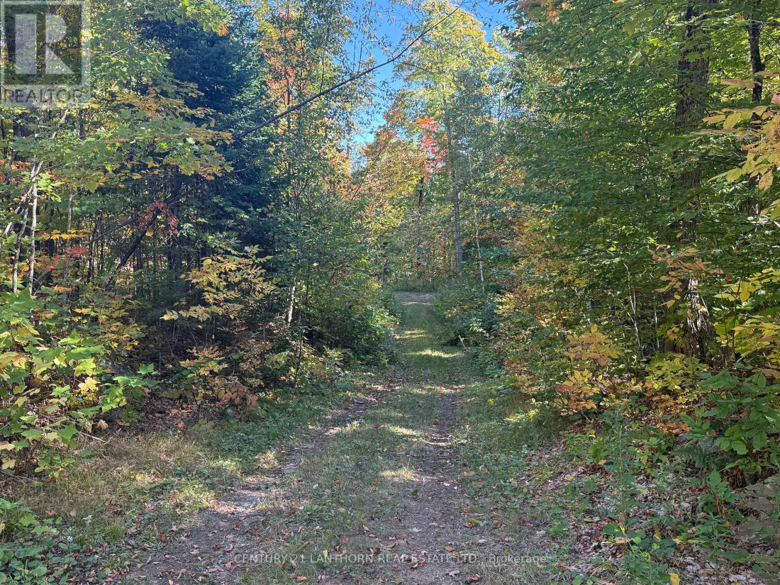1794 St Ola Road, Tudor And Cashel, Ontario  K0L 1W0 - Photo 10 - X12416092
