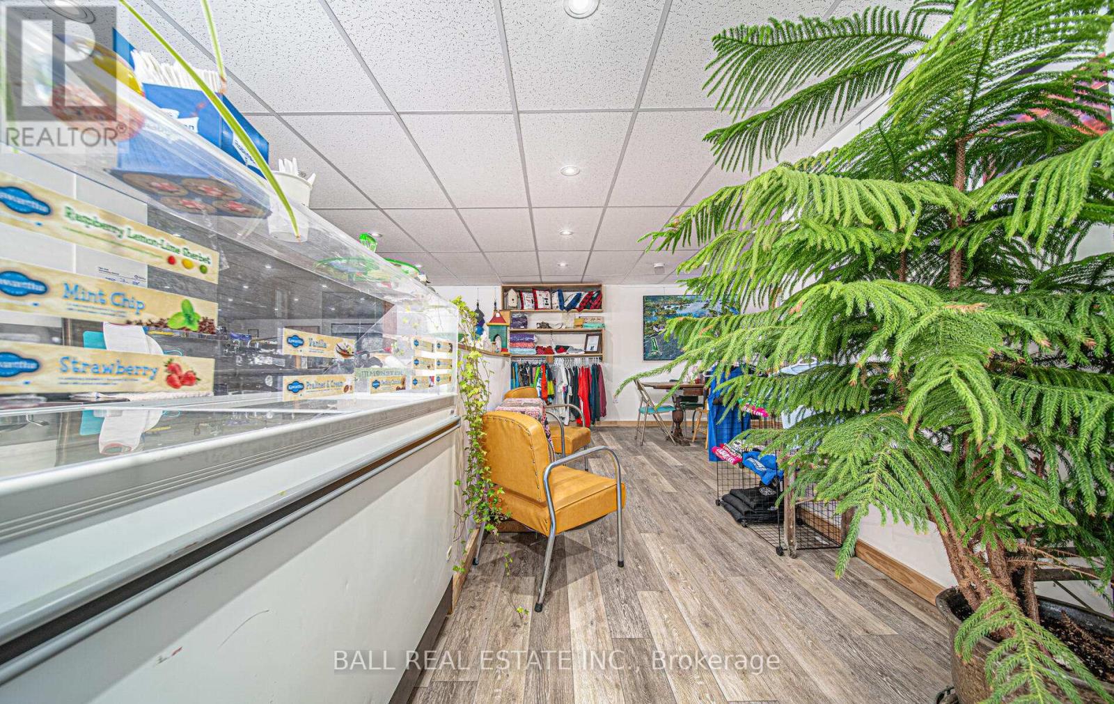 4007 County 6 Road, North Kawartha, Ontario  K0L 2H0 - Photo 19 - X12464852