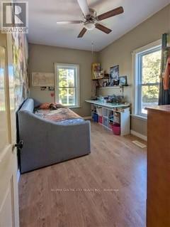 40 Goshen Street N, Bluewater, Ontario  N0M 2T0 - Photo 17 - X12463921