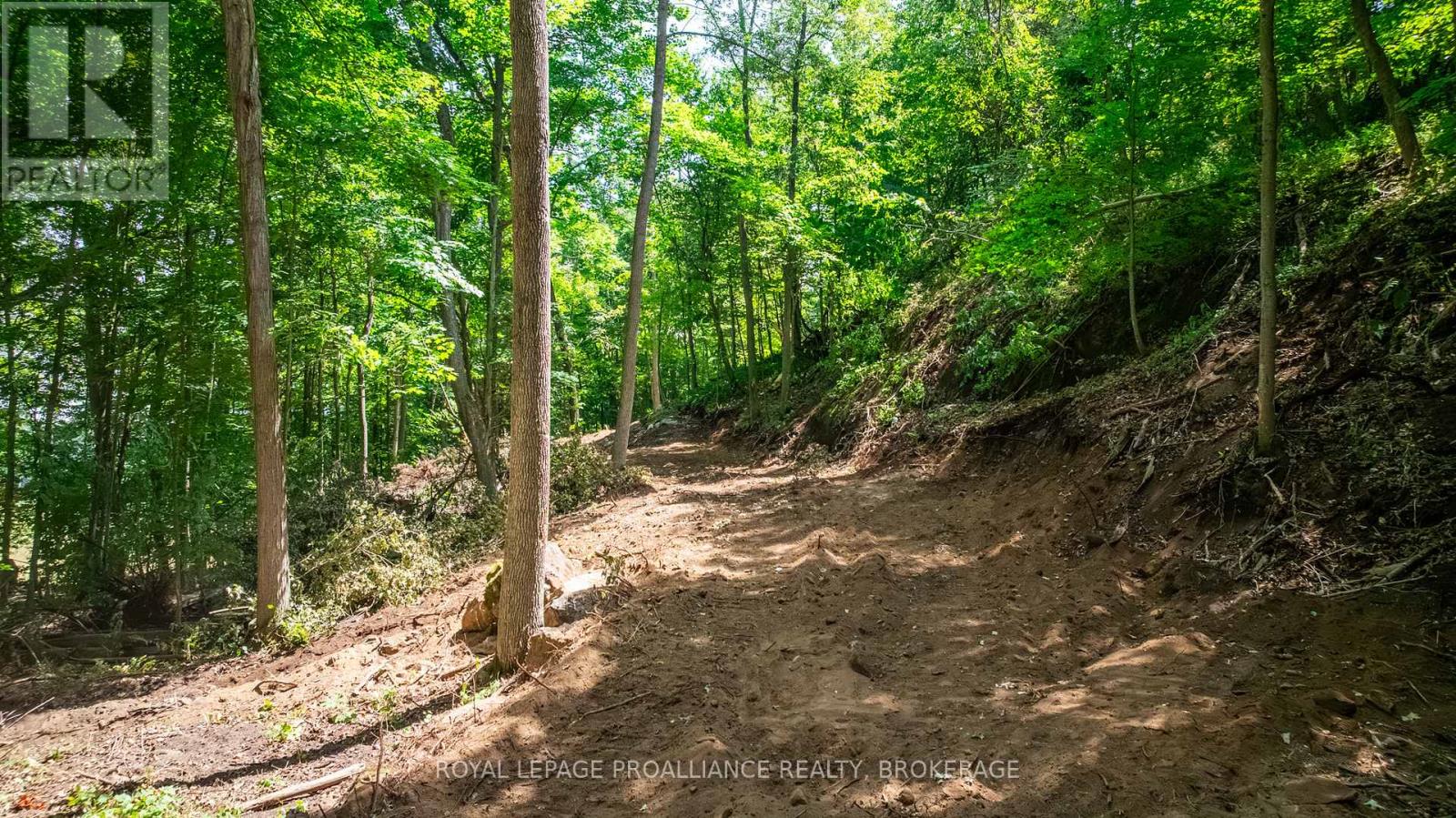 Lot 2 Trillium Lane, Frontenac (Frontenac South), Ontario  K0H 2N0 - Photo 16 - X12464918