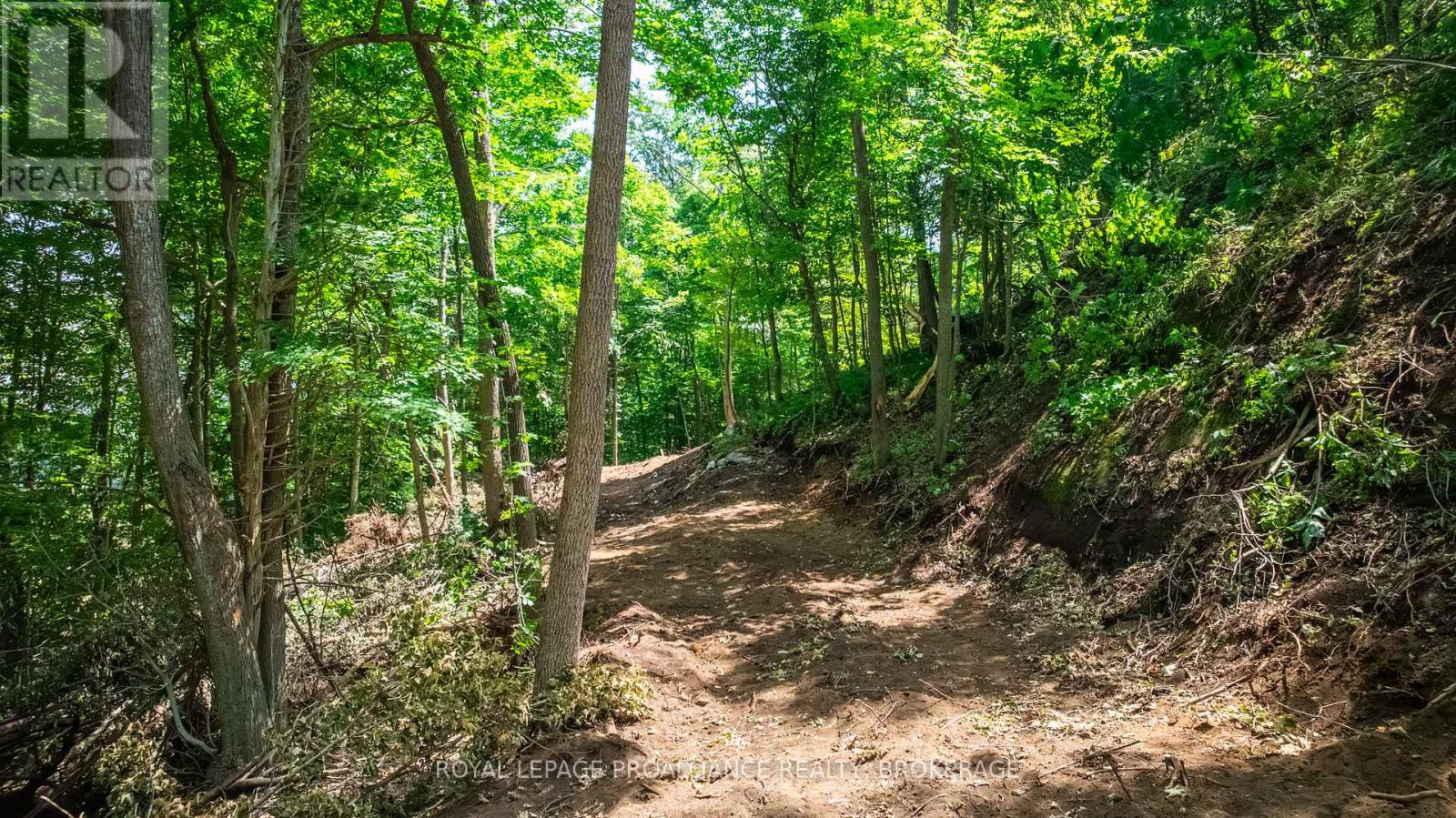 Lot 2 Trillium Lane, Frontenac (Frontenac South), Ontario  K0H 2N0 - Photo 17 - X12464918