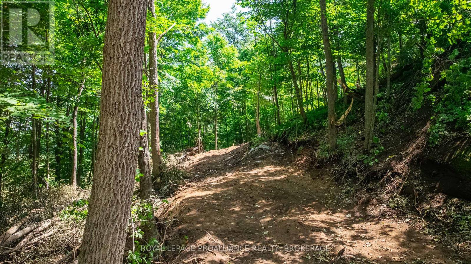 Lot 2 Trillium Lane, Frontenac (Frontenac South), Ontario  K0H 2N0 - Photo 18 - X12464918