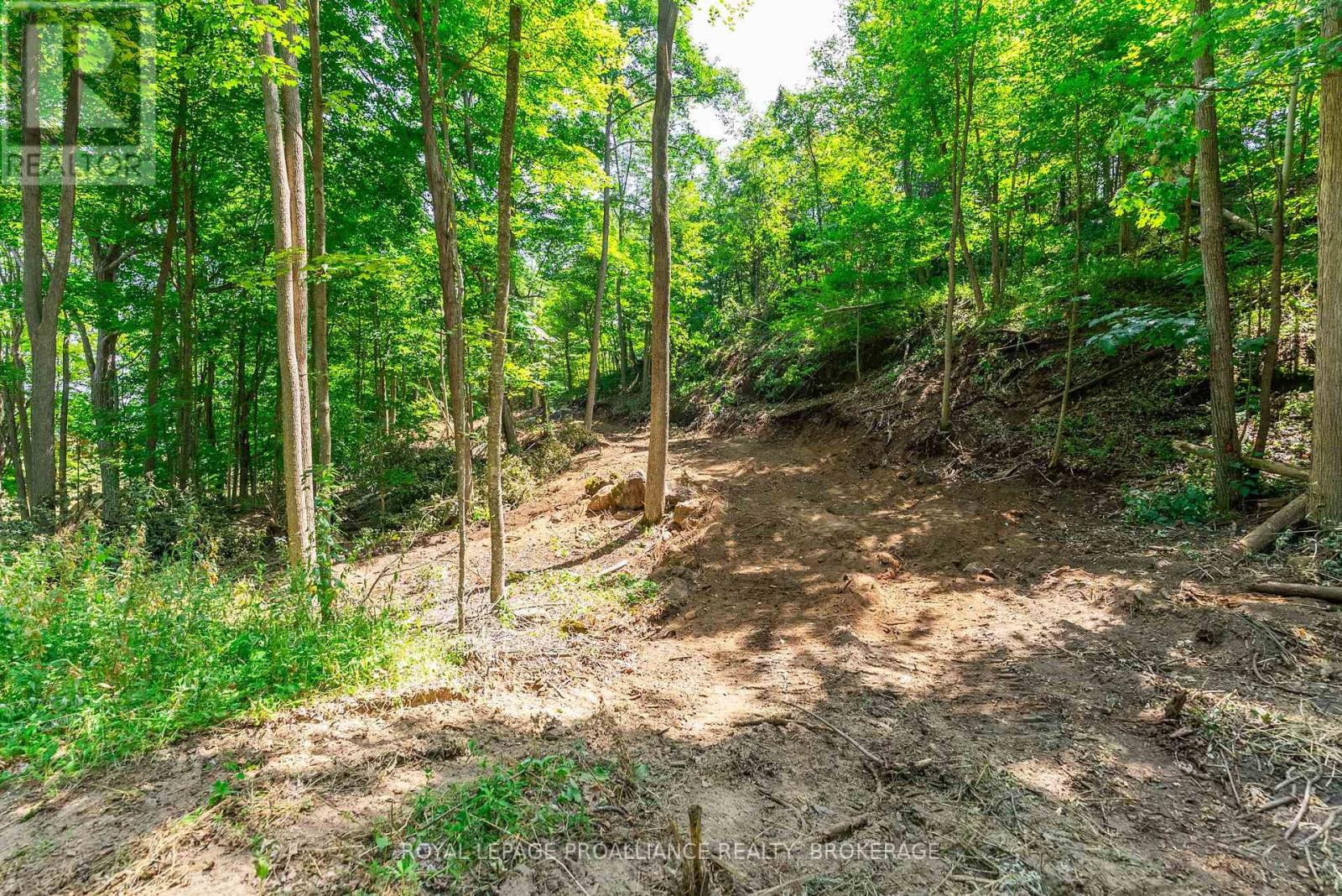 Lot 2 Trillium Lane, Frontenac (Frontenac South), Ontario  K0H 2N0 - Photo 20 - X12464918