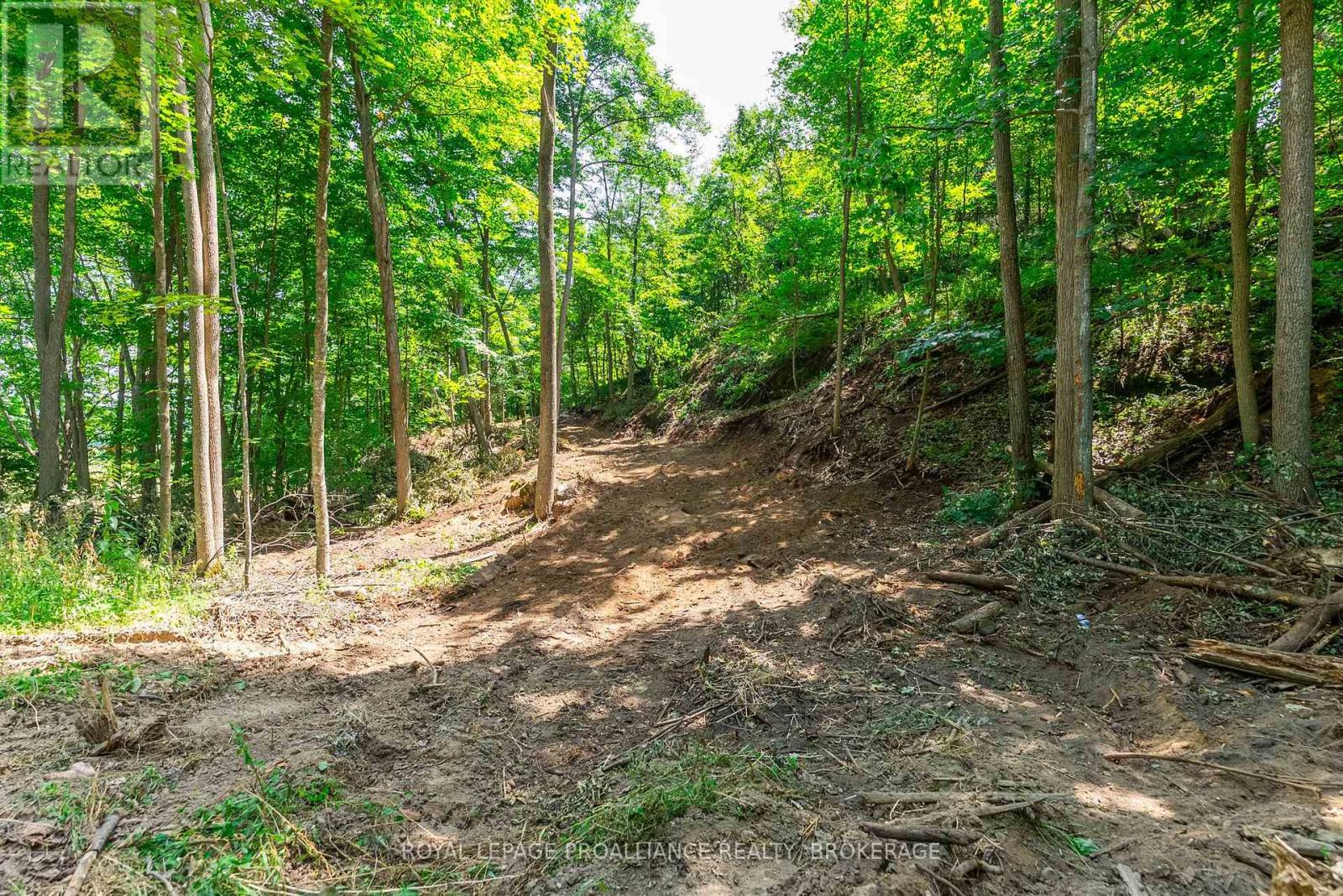 Lot 2 Trillium Lane, Frontenac (Frontenac South), Ontario  K0H 2N0 - Photo 21 - X12464918