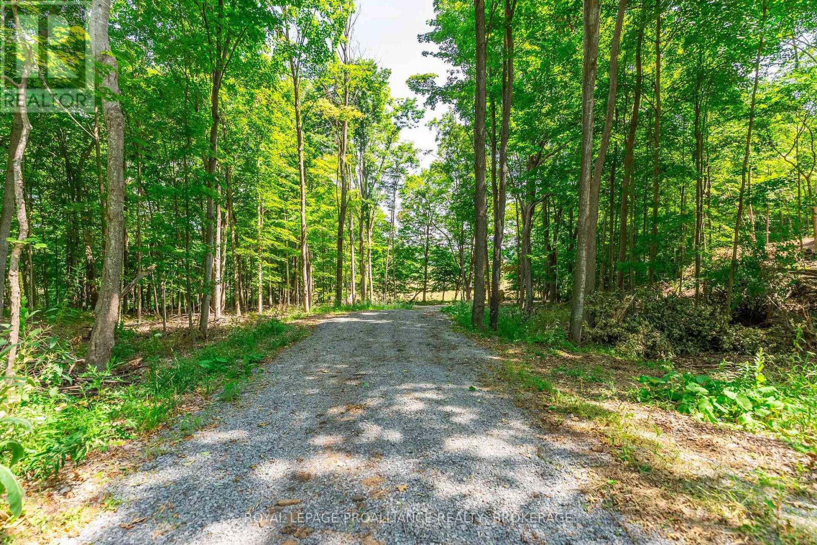 Lot 2 Trillium Lane, Frontenac (Frontenac South), Ontario  K0H 2N0 - Photo 22 - X12464918