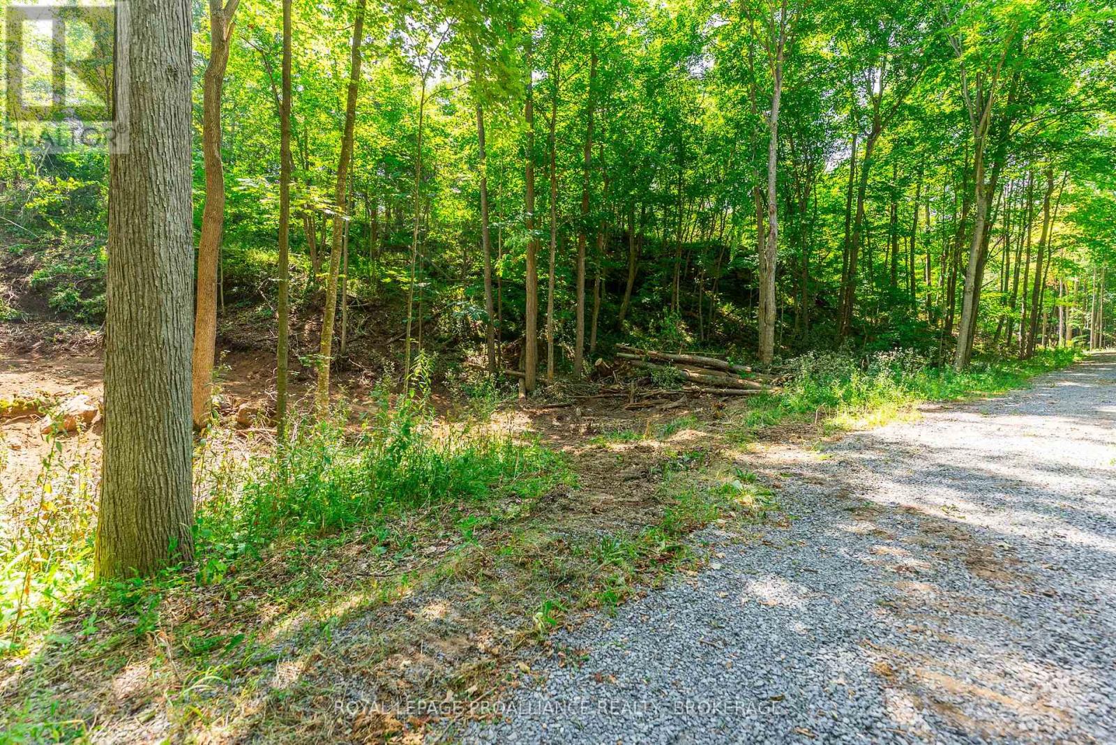Lot 2 Trillium Lane, Frontenac (Frontenac South), Ontario  K0H 2N0 - Photo 23 - X12464918