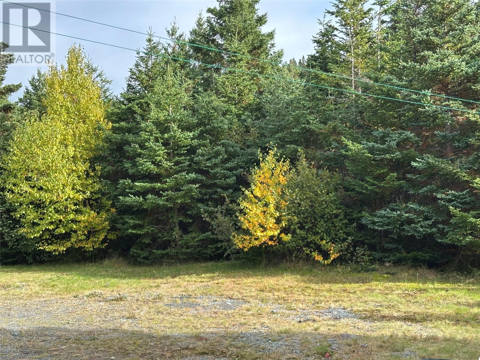182 Harbour Drive, Colliers, Newfoundland & Labrador  A0A 1Y0 - Photo 12 - 1291546