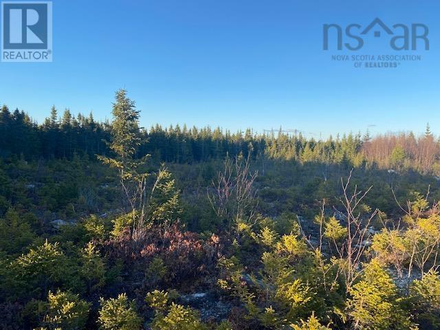 Lot 6 Mailman Branch Road, Little Liscomb, Nova Scotia  B0K 1J0 - Photo 2 - 202509328