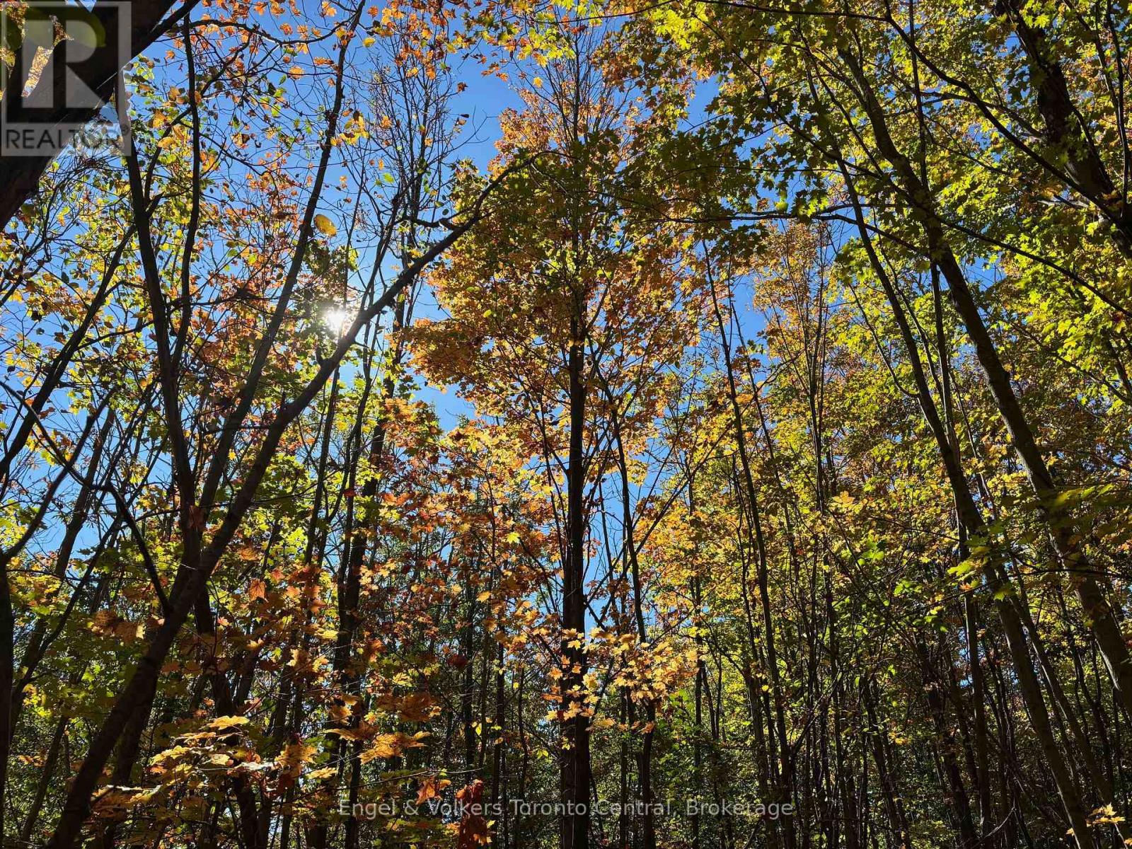 317343 3rd Line, Meaford, Ontario  N4L 1W7 - Photo 34 - X12404961