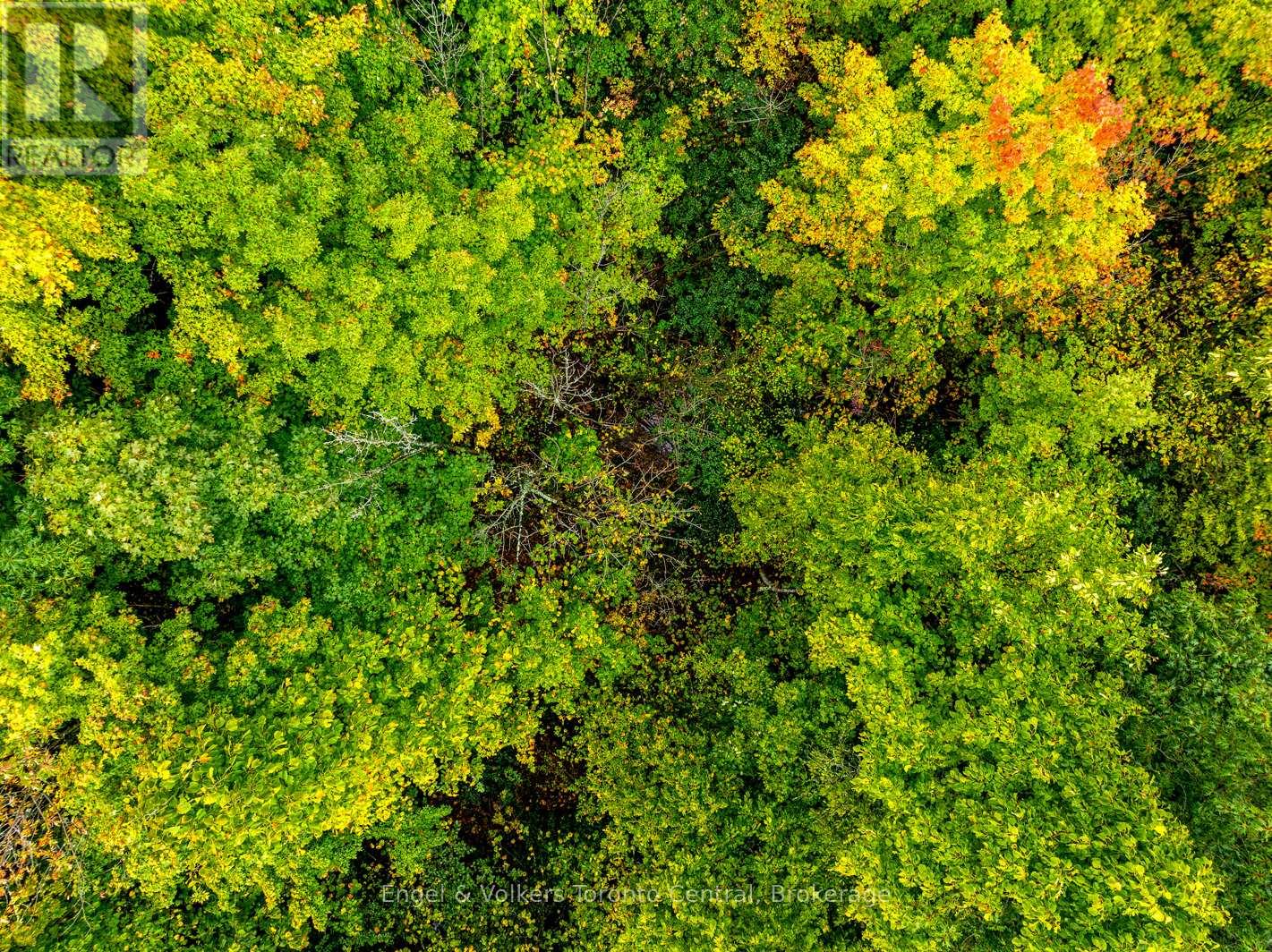 317343 3rd Line, Meaford, Ontario  N4L 1W7 - Photo 44 - X12404961