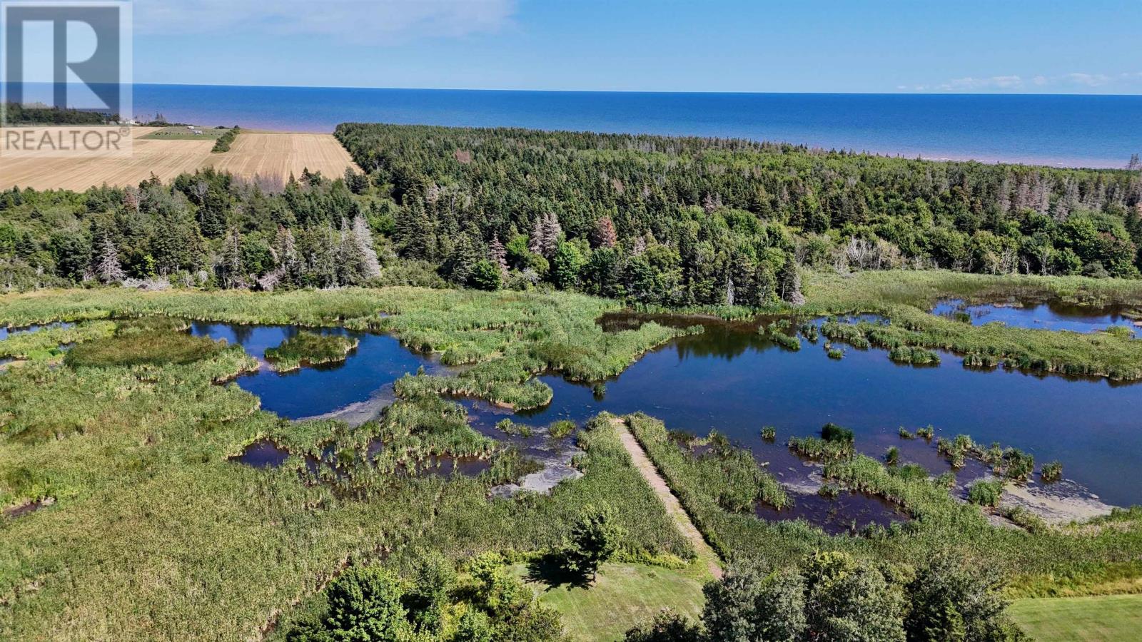 16742 Route 12, Kildare, Prince Edward Island  C0B 1B0 - Photo 10 - 202525928