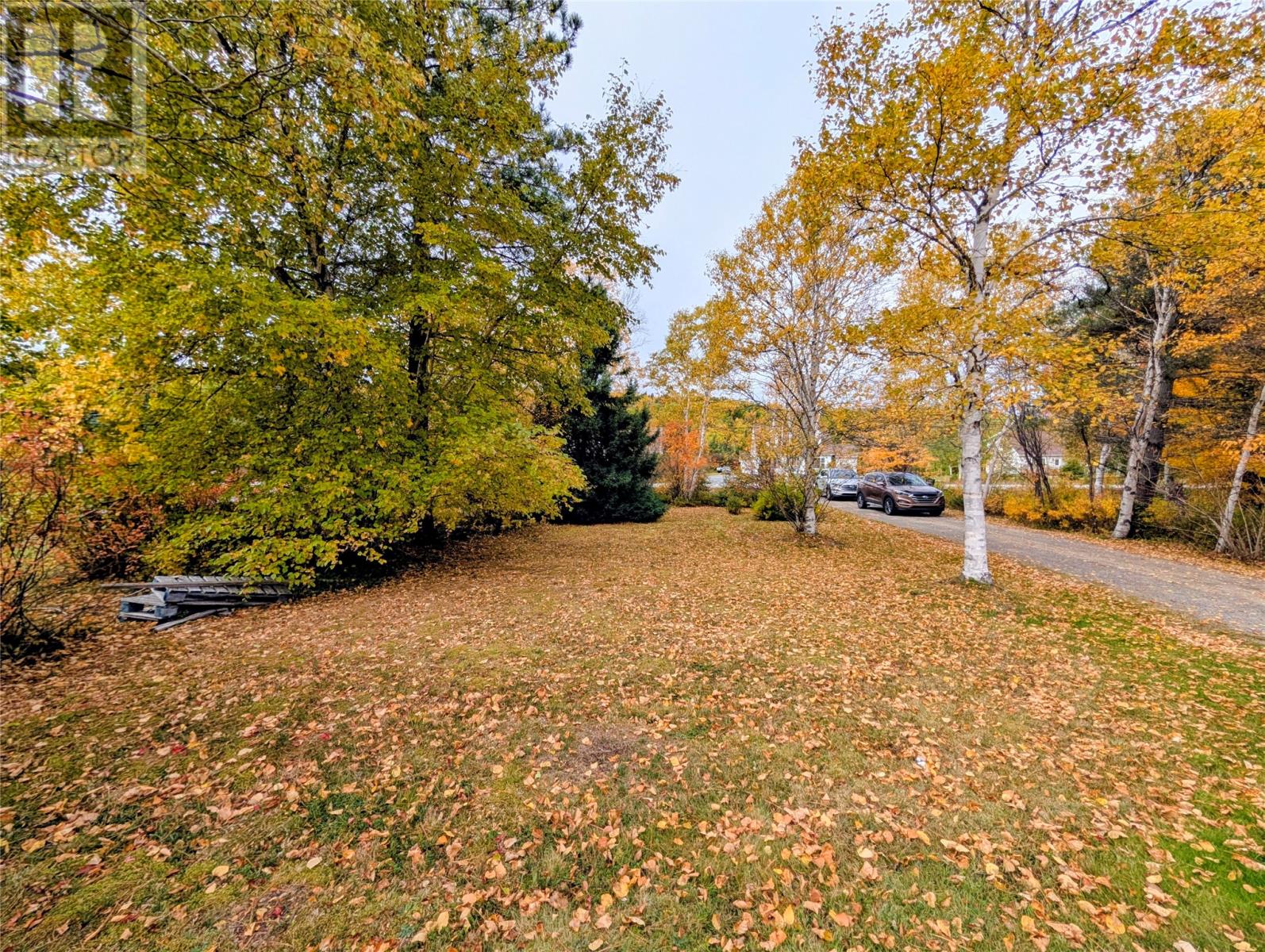 210 Jr Smallwood Boulevard, Gambo, Newfoundland & Labrador   - Photo 39 - 1291592