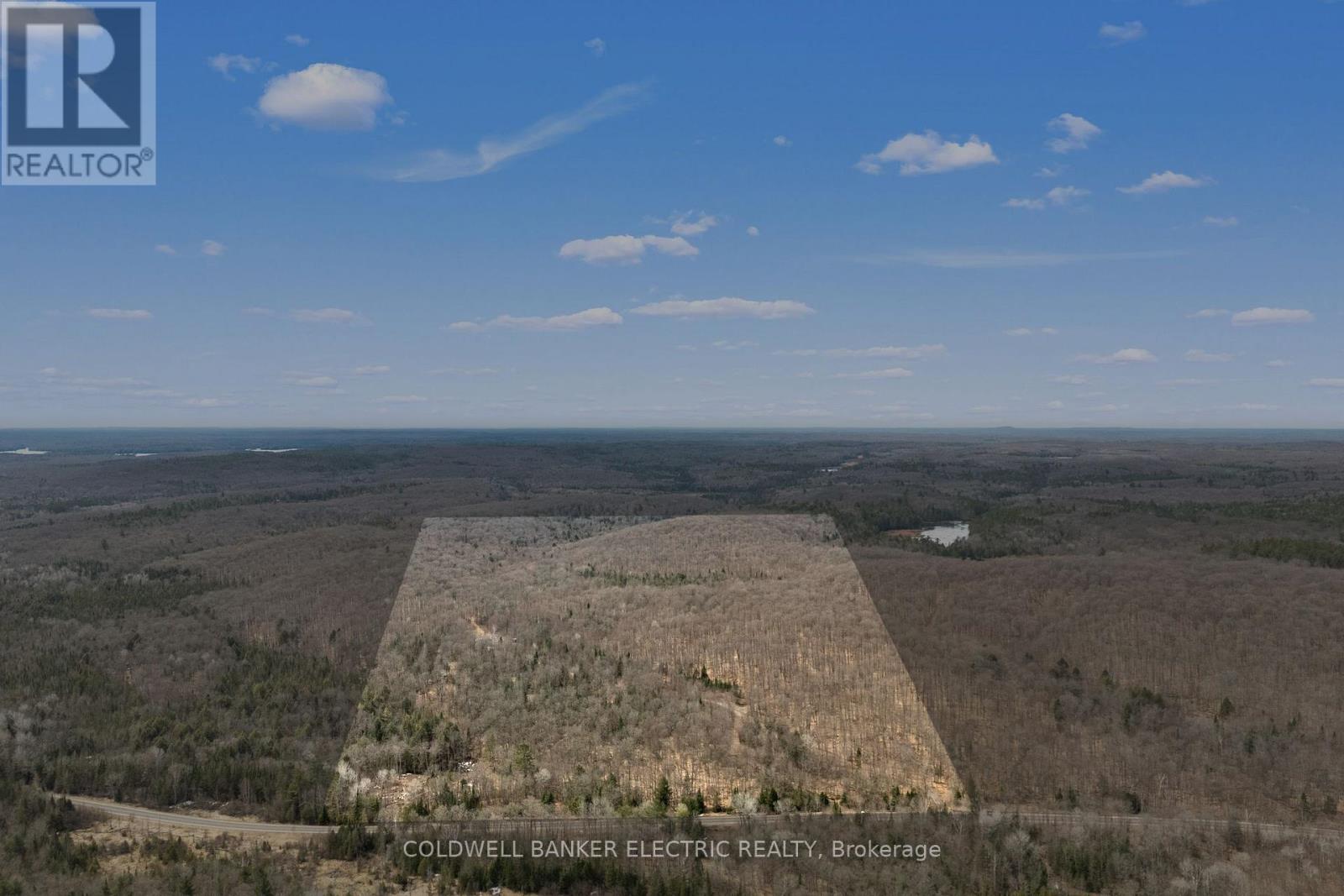 2075 Dyno Road, Highlands East, Ontario  K0L 1C0 - Photo 35 - X12463374