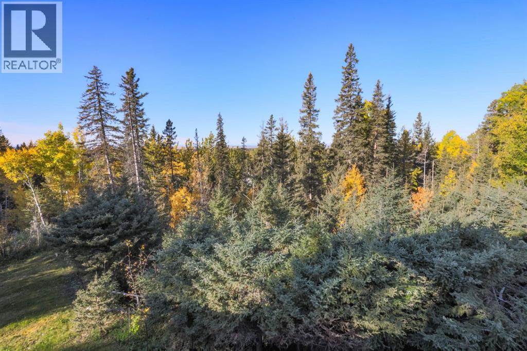236, 5241 325a Township, Rural Mountain View County, Alberta  T0M 1X0 - Photo 25 - A2263938