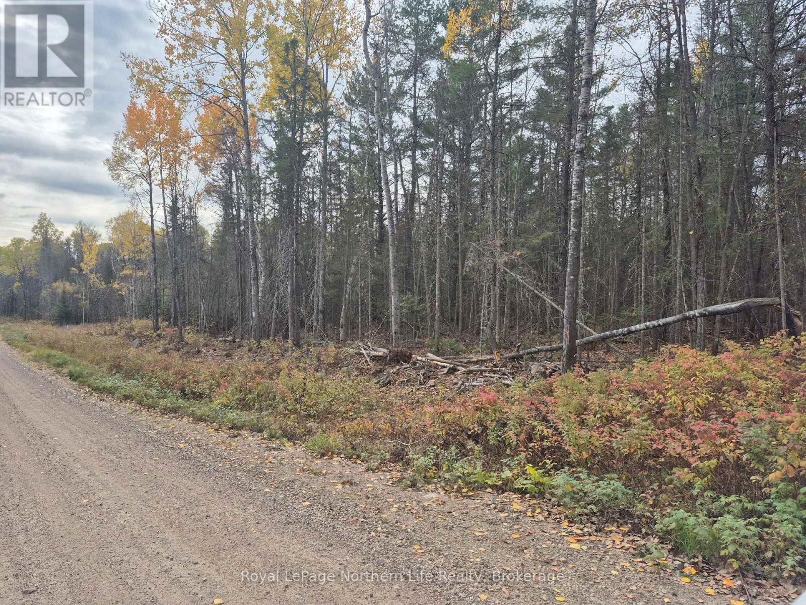 Pt Lot 1 Con 9 Archambeault Road, Papineau-Cameron, Ontario  P0H 1V0 - Photo 5 - X12465230