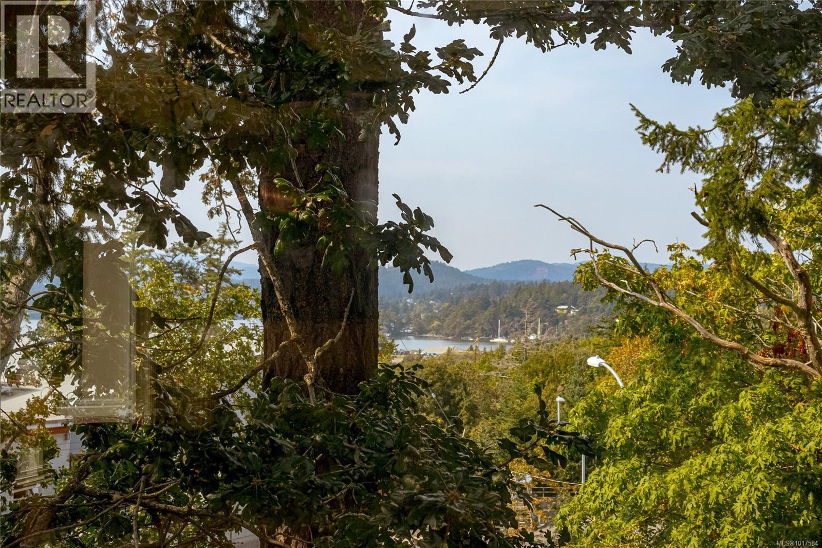 999 Admirals Rd, Esquimalt, British Columbia  V9A 2P1 - Photo 18 - 1017584