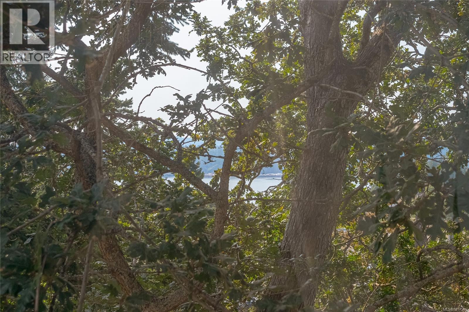 999 Admirals Rd, Esquimalt, British Columbia  V9A 2P1 - Photo 30 - 1017584