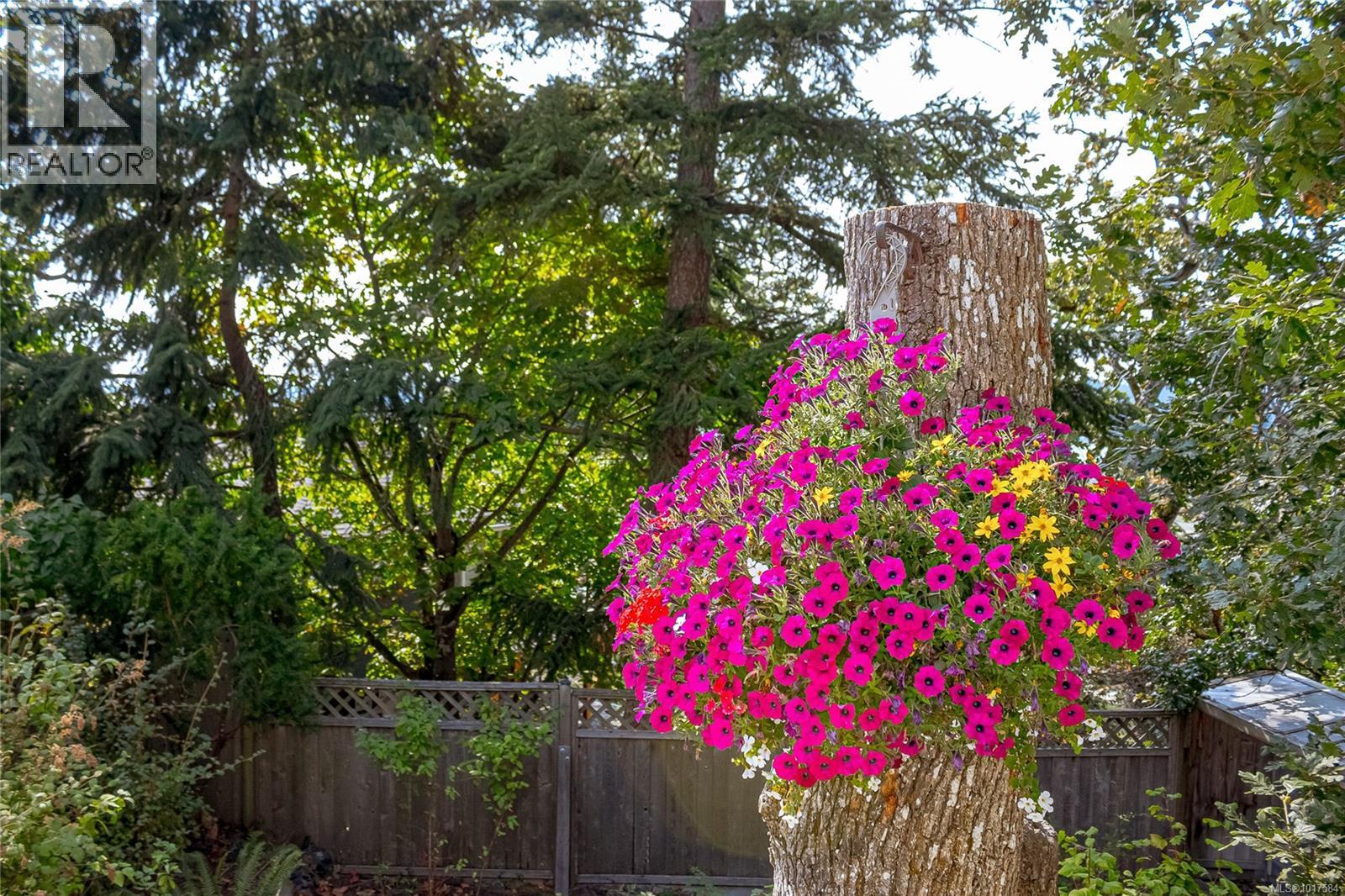 999 Admirals Rd, Esquimalt, British Columbia  V9A 2P1 - Photo 51 - 1017584