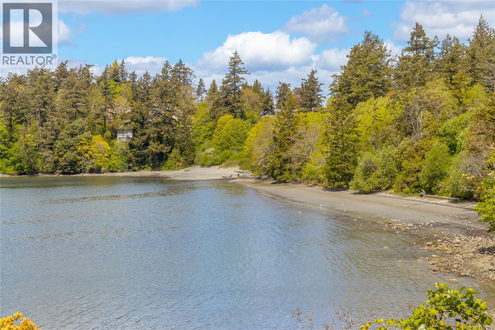 999 Admirals Rd, Esquimalt, British Columbia  V9A 2P1 - Photo 64 - 1017584