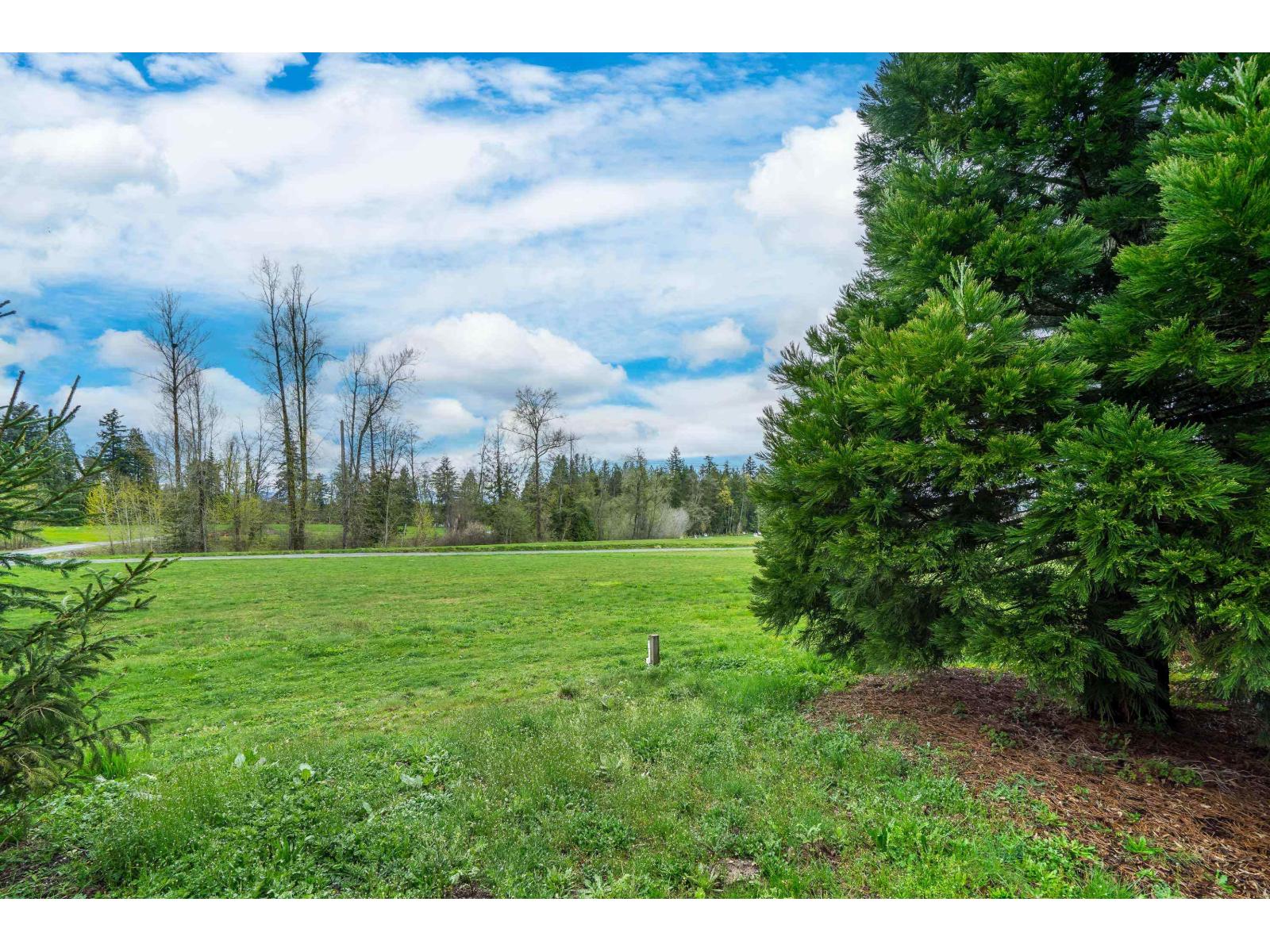 30 15717 Mountain View Drive, Surrey, British Columbia  V3Z 0C6 - Photo 38 - R3058543