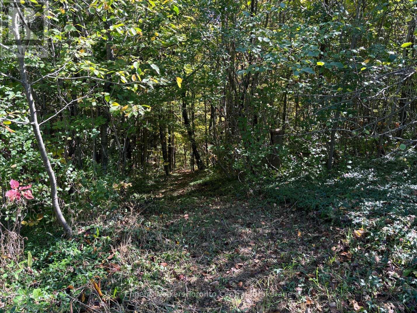 317343 3rd Line, Meaford, Ontario  N4L 1W7 - Photo 37 - X12404961