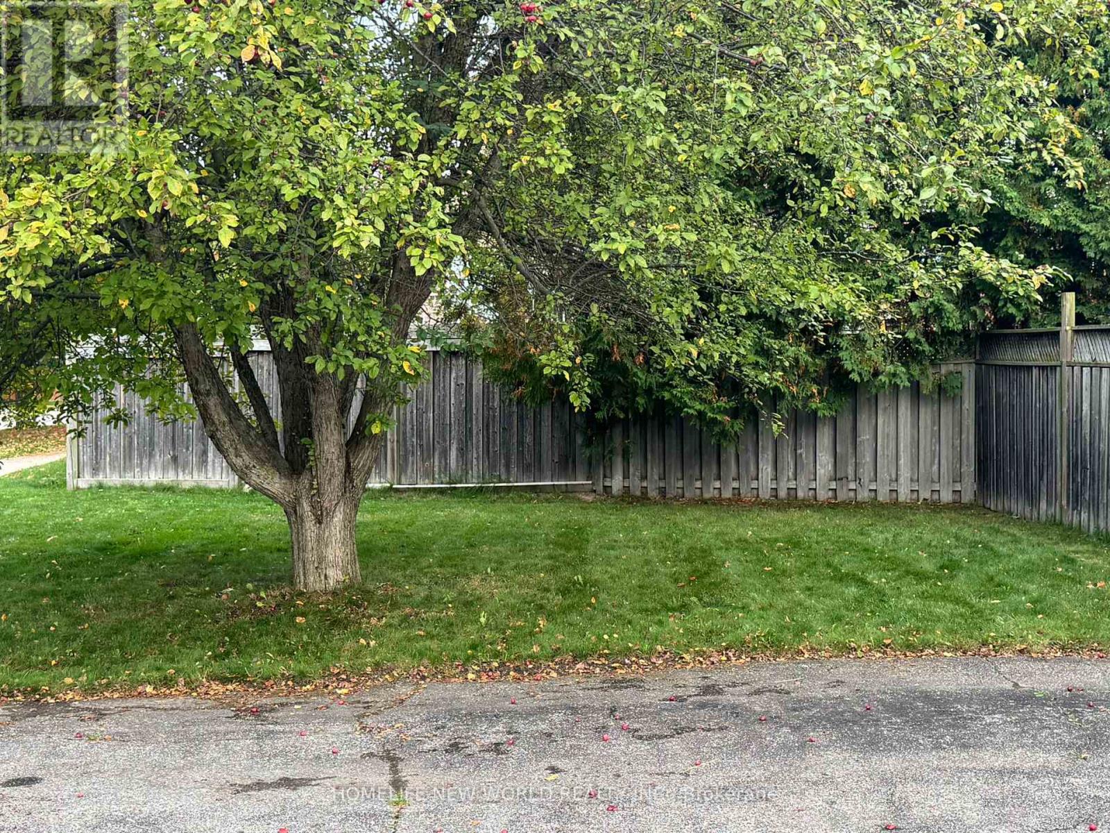 100 Bassett Boulevard, Whitby, Ontario  L1N 8X3 - Photo 41 - E12456610