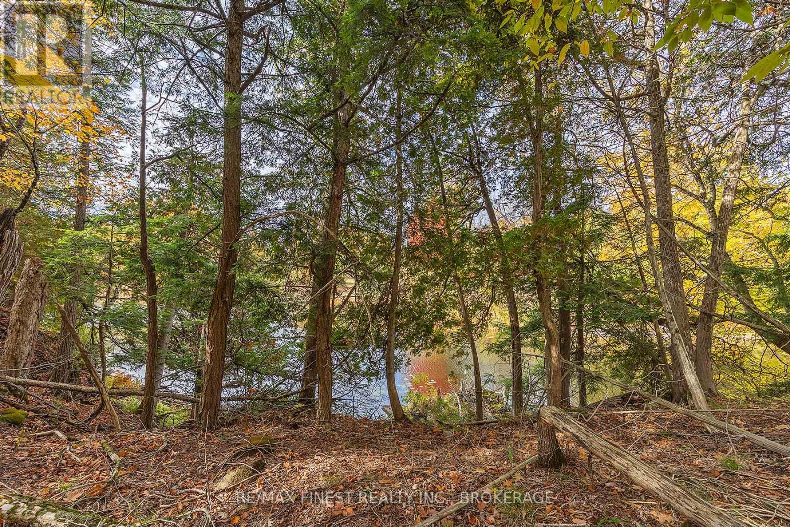 00 Cedarwoods Drive, Frontenac, Ontario  K0H 2W0 - Photo 11 - X12465352