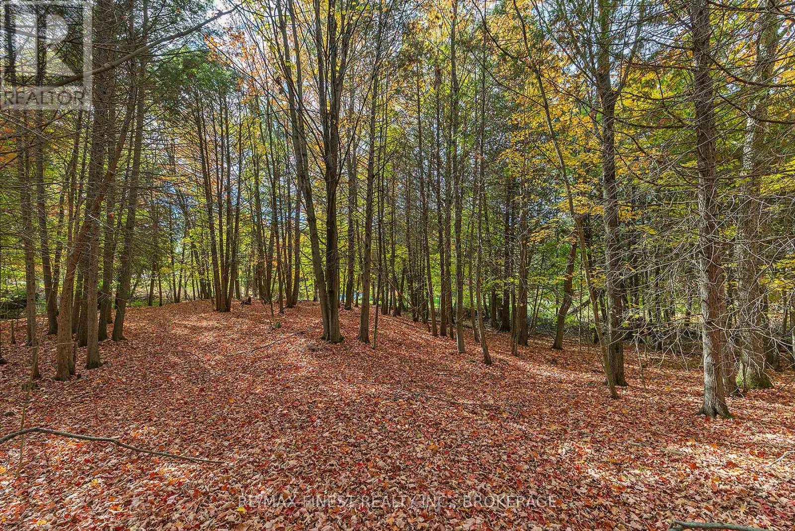 00 Cedarwoods Drive, Frontenac, Ontario  K0H 2W0 - Photo 6 - X12465352