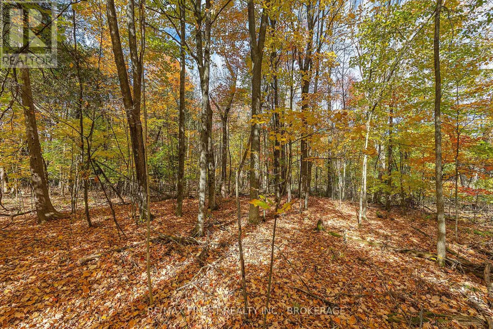00 Cedarwoods Drive, Frontenac, Ontario  K0H 2W0 - Photo 7 - X12465352