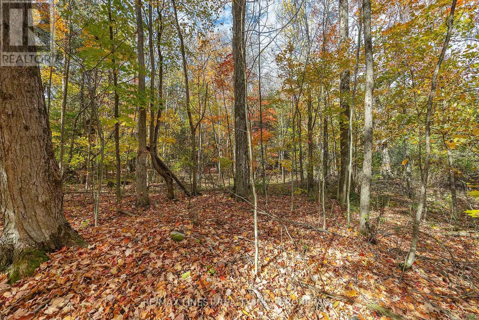 00 Cedarwoods Drive, Frontenac, Ontario  K0H 2W0 - Photo 9 - X12465352