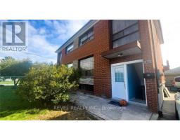 BASEMENT - 81 DOMBEY ROAD, Toronto, Ontario
