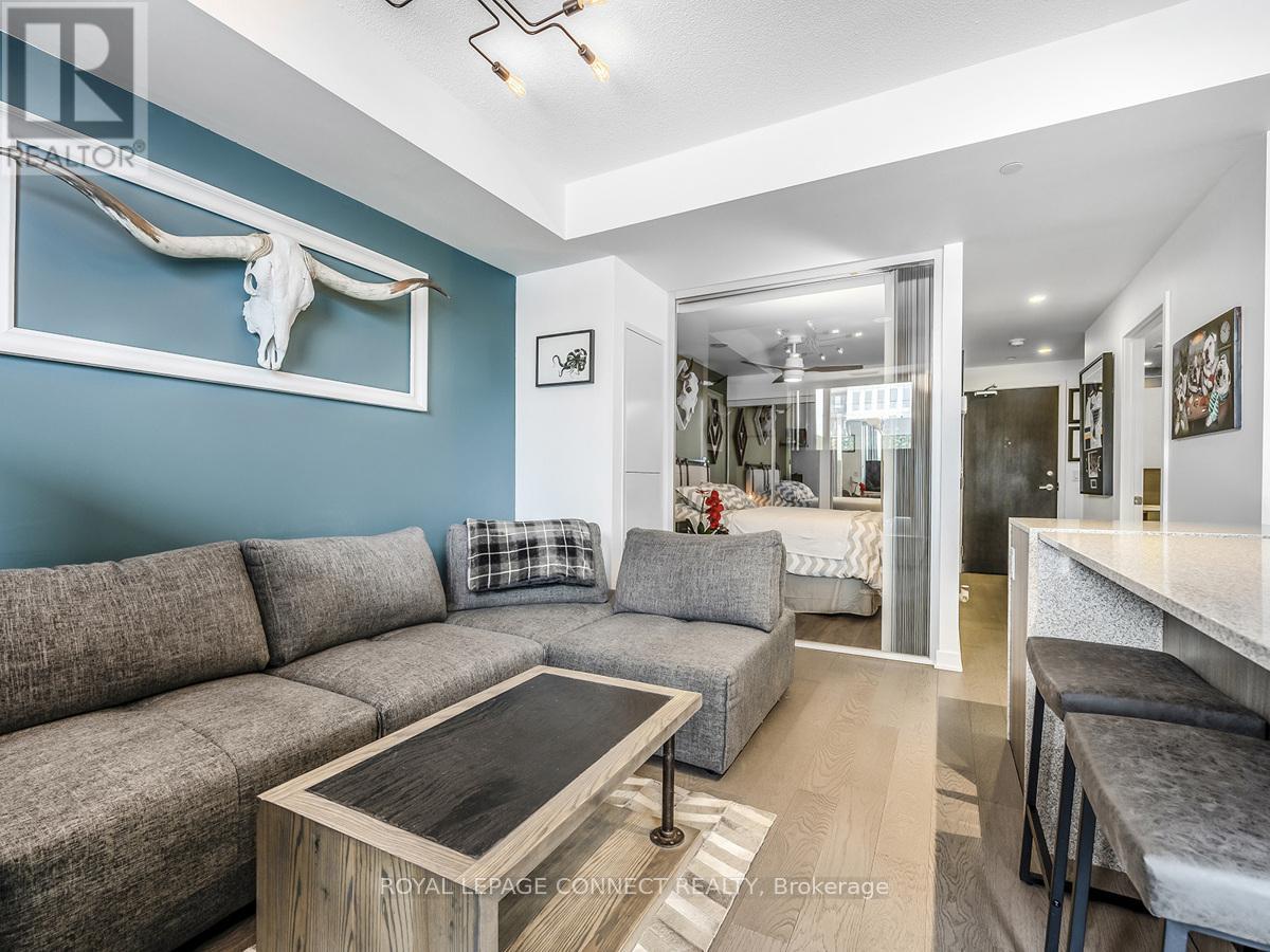 518 - 170 Sumach Street, Toronto, Ontario  M5A 0C3 - Photo 7 - C12465341