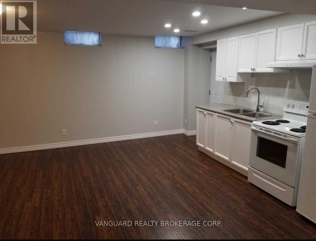 Basement - 332 Luck Court, Newmarket, Ontario  L3X 0J5 - Photo 2 - N12465332