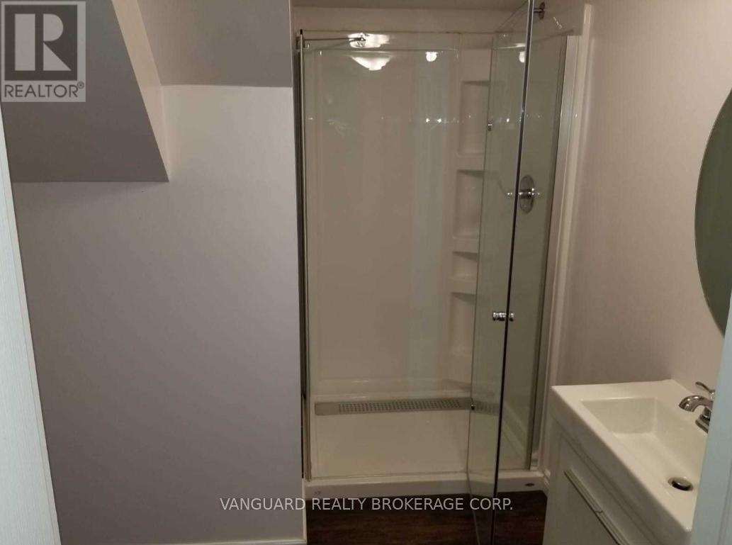 Basement - 332 Luck Court, Newmarket, Ontario  L3X 0J5 - Photo 5 - N12465332