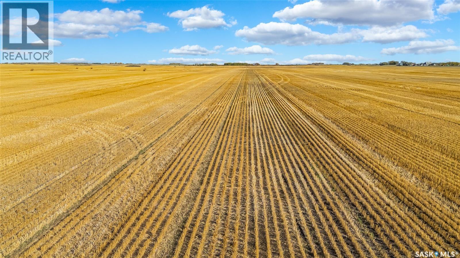 Balion Farmland, lost river rm no. 313, Saskatchewan