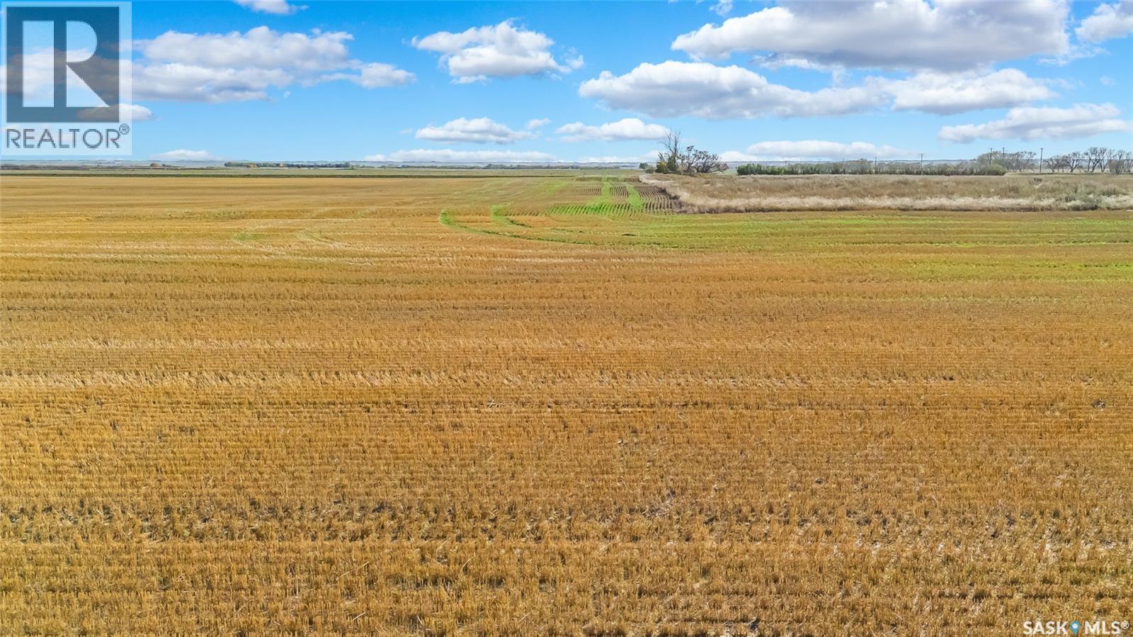 Balion Farmland, Lost River Rm No. 313, Saskatchewan  S0K 0C0 - Photo 2 - SK020817