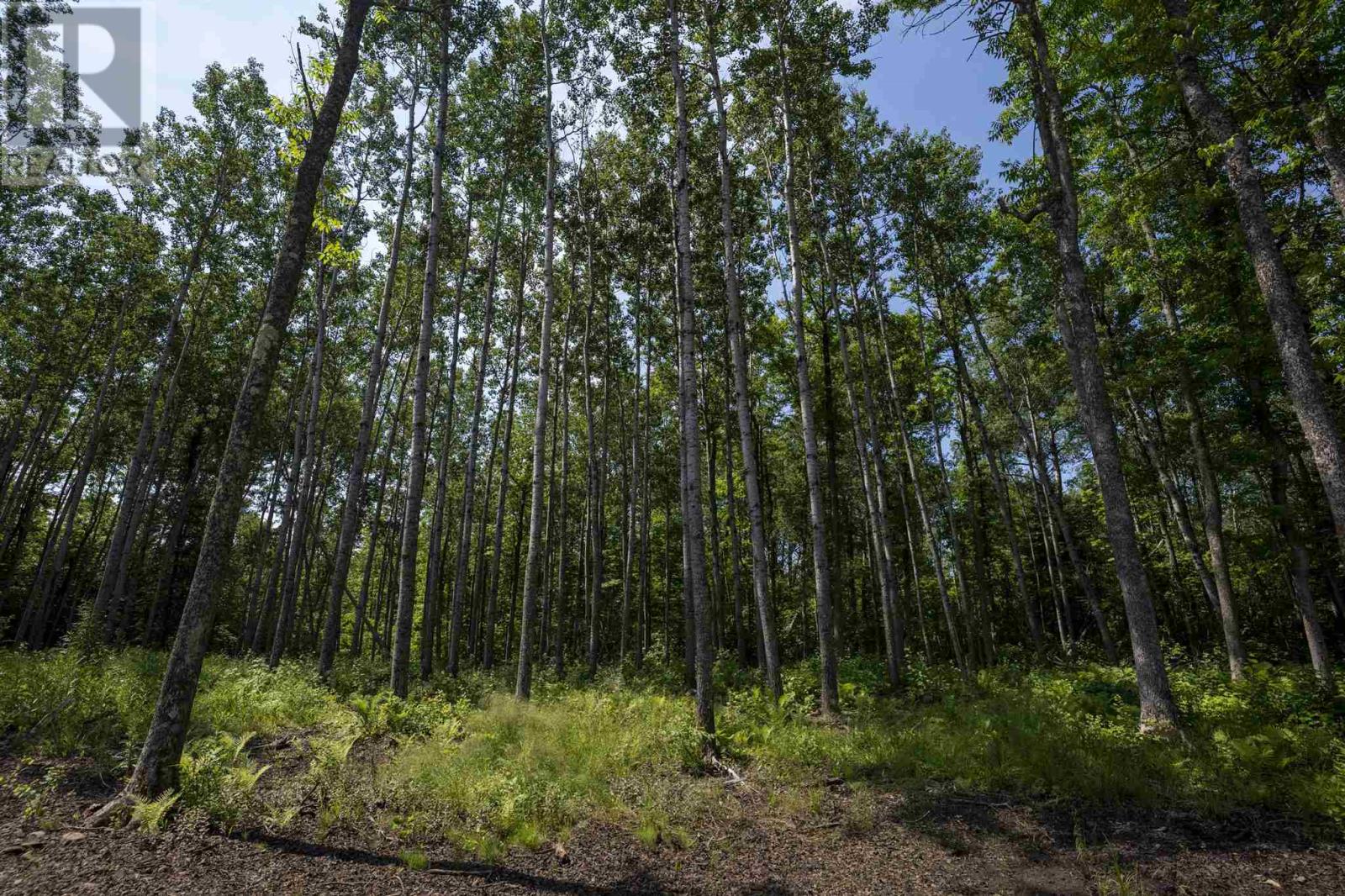 John St. Road, Oliver Paipoonge, Ontario  P7B 2A3 - Photo 21 - TB252113