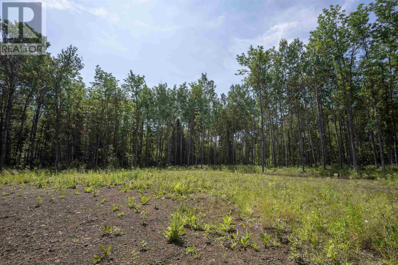 John St. Road, Oliver Paipoonge, Ontario  P7B 2A3 - Photo 7 - TB252113