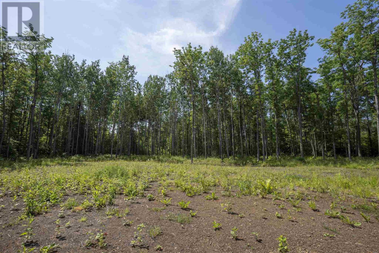 John St. Road, Oliver Paipoonge, Ontario  P7B 2A3 - Photo 10 - TB252113