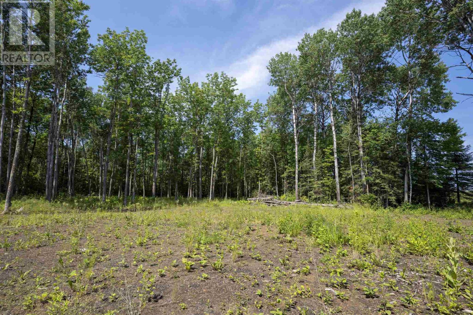 John St. Road, Oliver Paipoonge, Ontario  P7B 2A3 - Photo 22 - TB252113