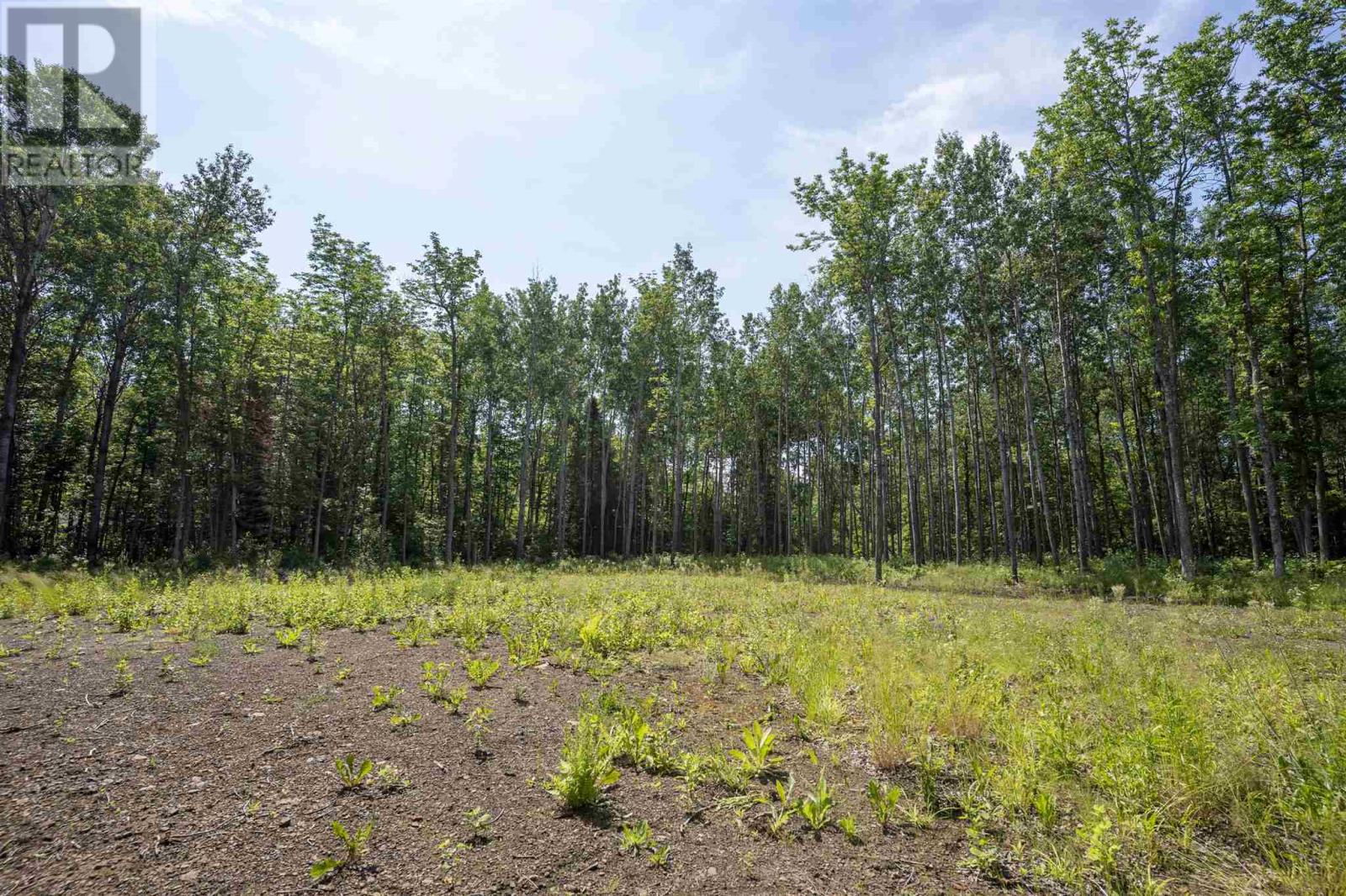 John St. Road, Oliver Paipoonge, Ontario  P7B 2A3 - Photo 20 - TB252113