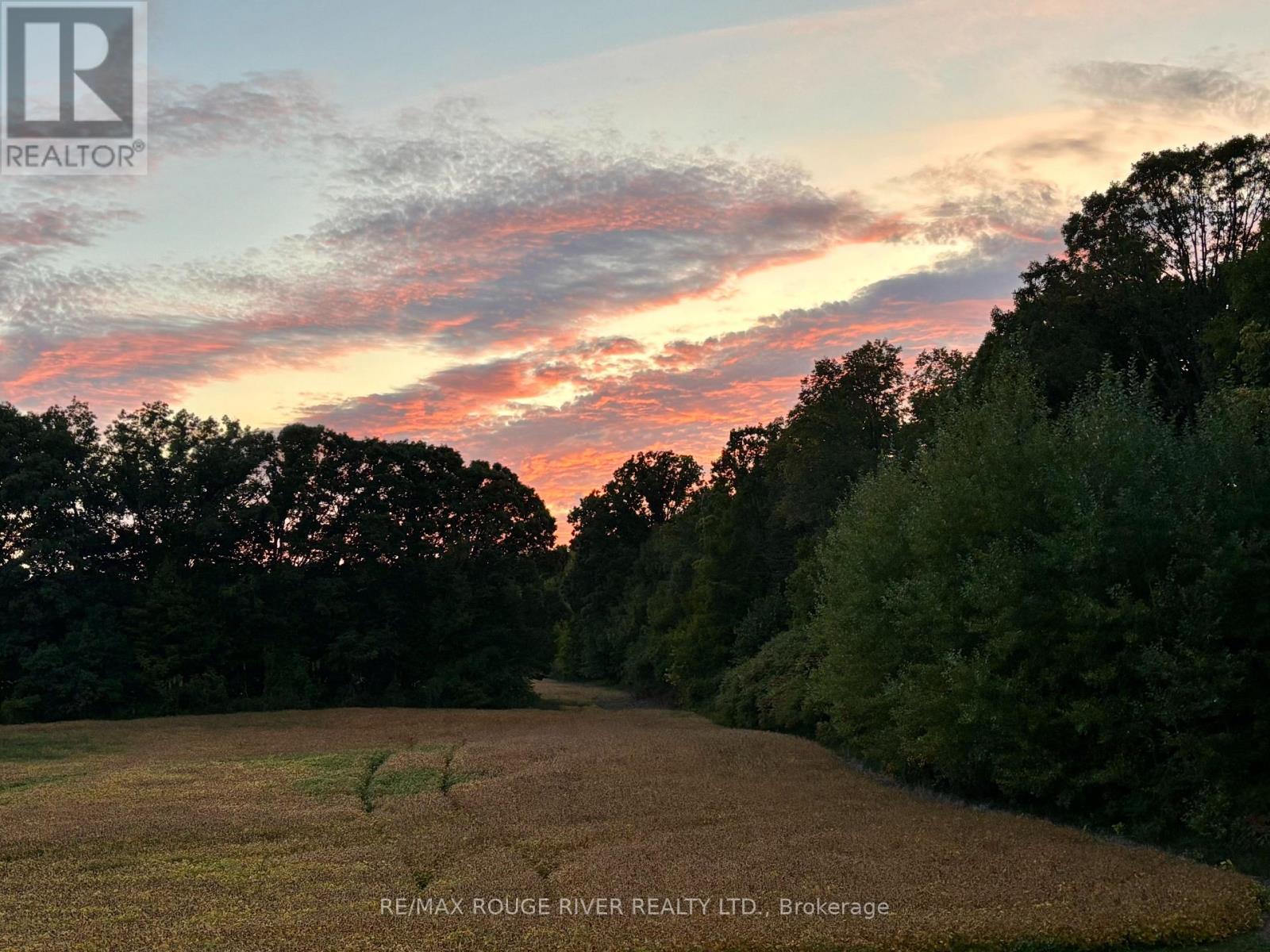 298 Tobacco Road, Cramahe, Ontario  K0K 1M0 - Photo 50 - X12465619
