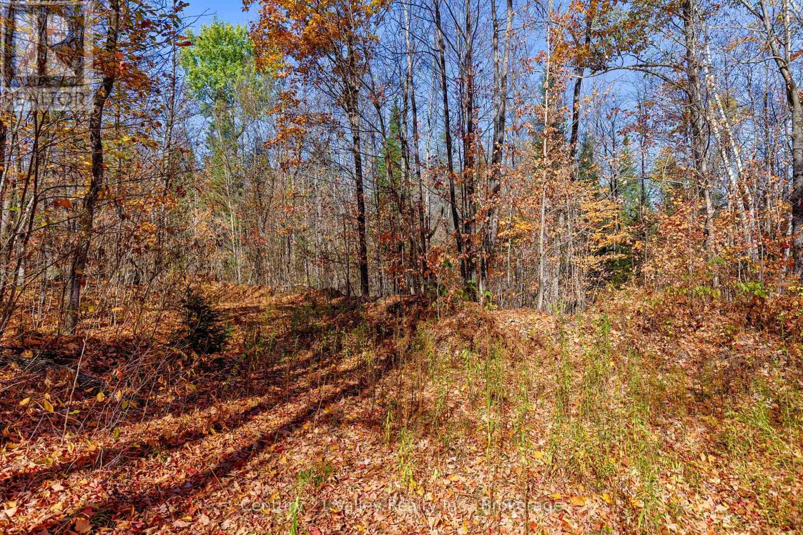 0 Gorman Road, Bonnechere Valley, Ontario  K0J 2A0 - Photo 10 - X12465626