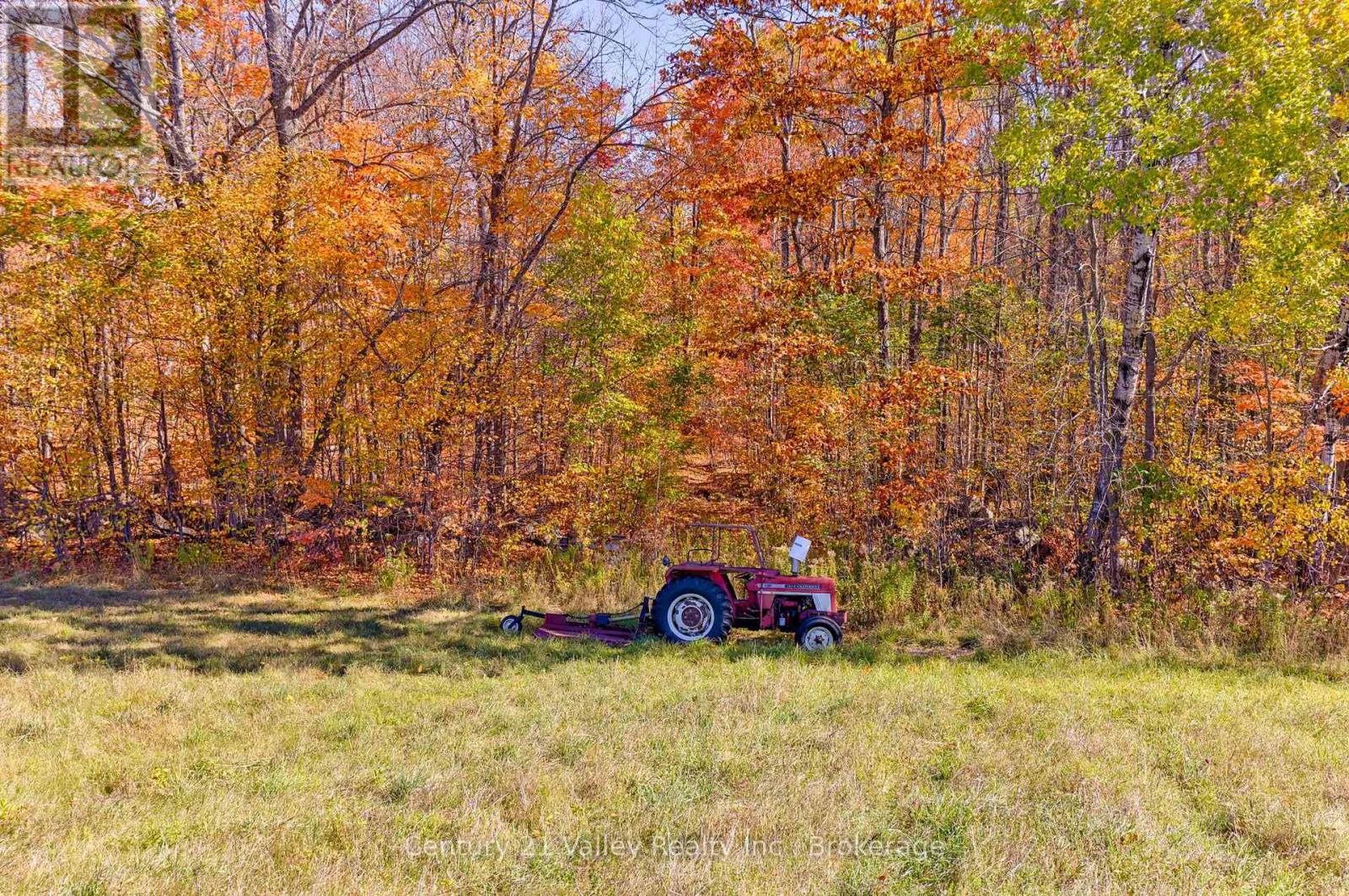 0 Gorman Road, Bonnechere Valley, Ontario  K0J 2A0 - Photo 19 - X12465626