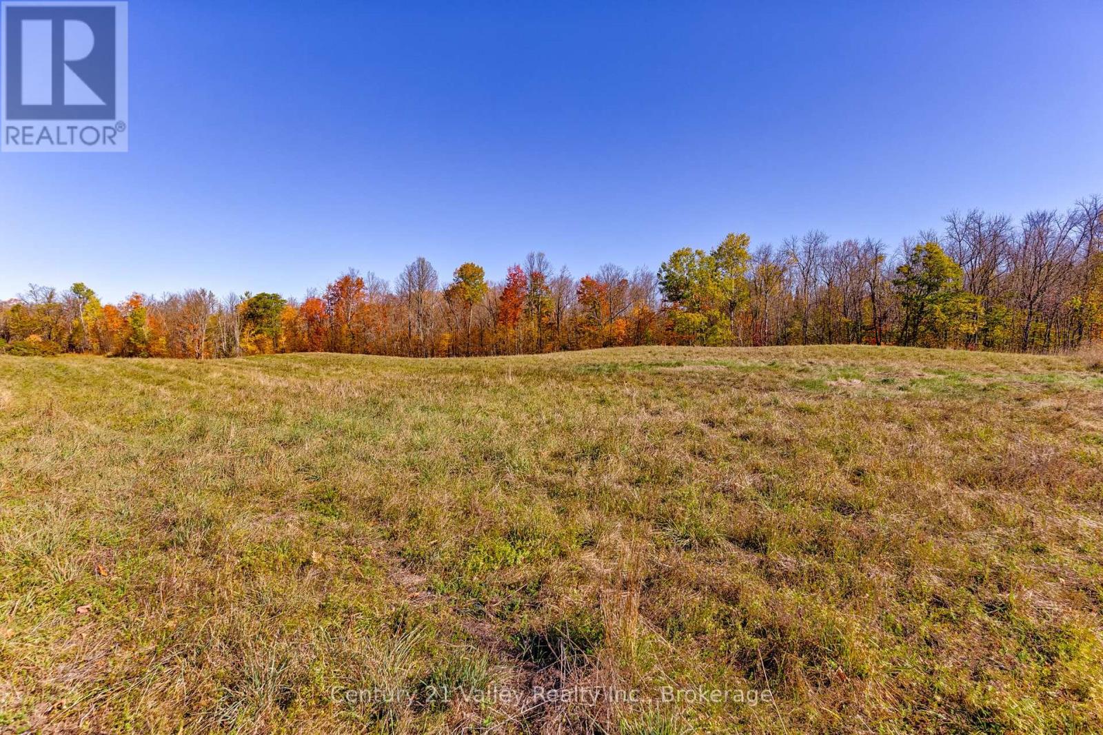 0 Gorman Road, Bonnechere Valley, Ontario  K0J 2A0 - Photo 21 - X12465626