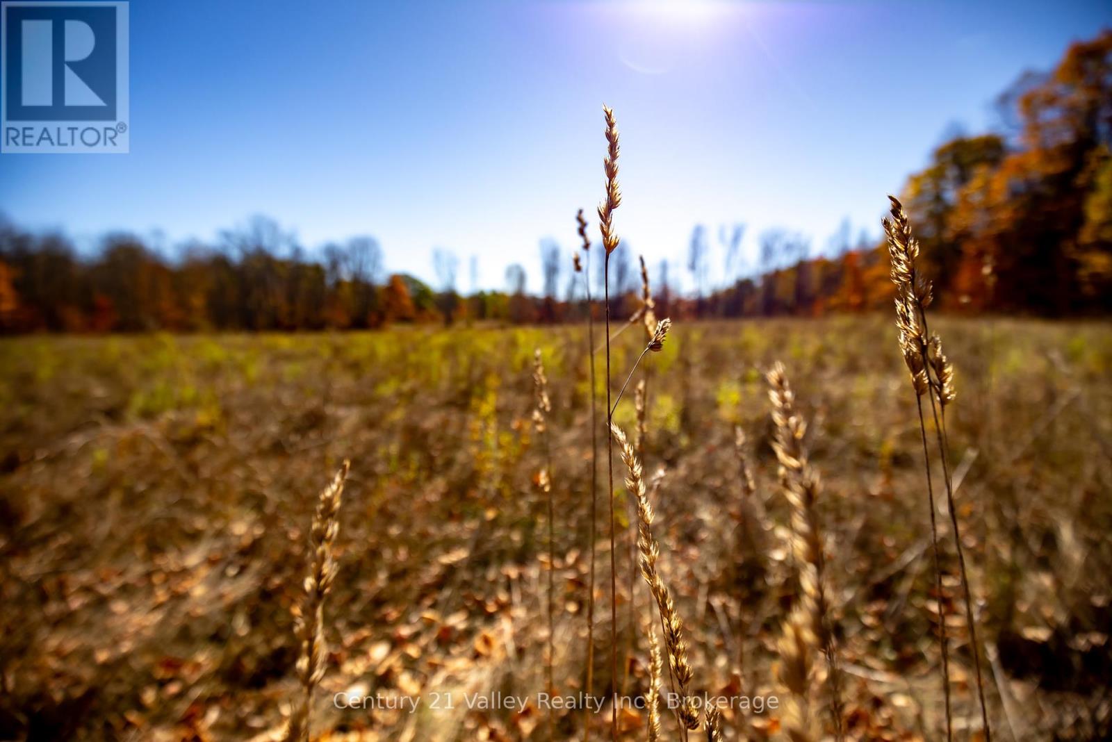 0 Gorman Road, Bonnechere Valley, Ontario  K0J 2A0 - Photo 22 - X12465626