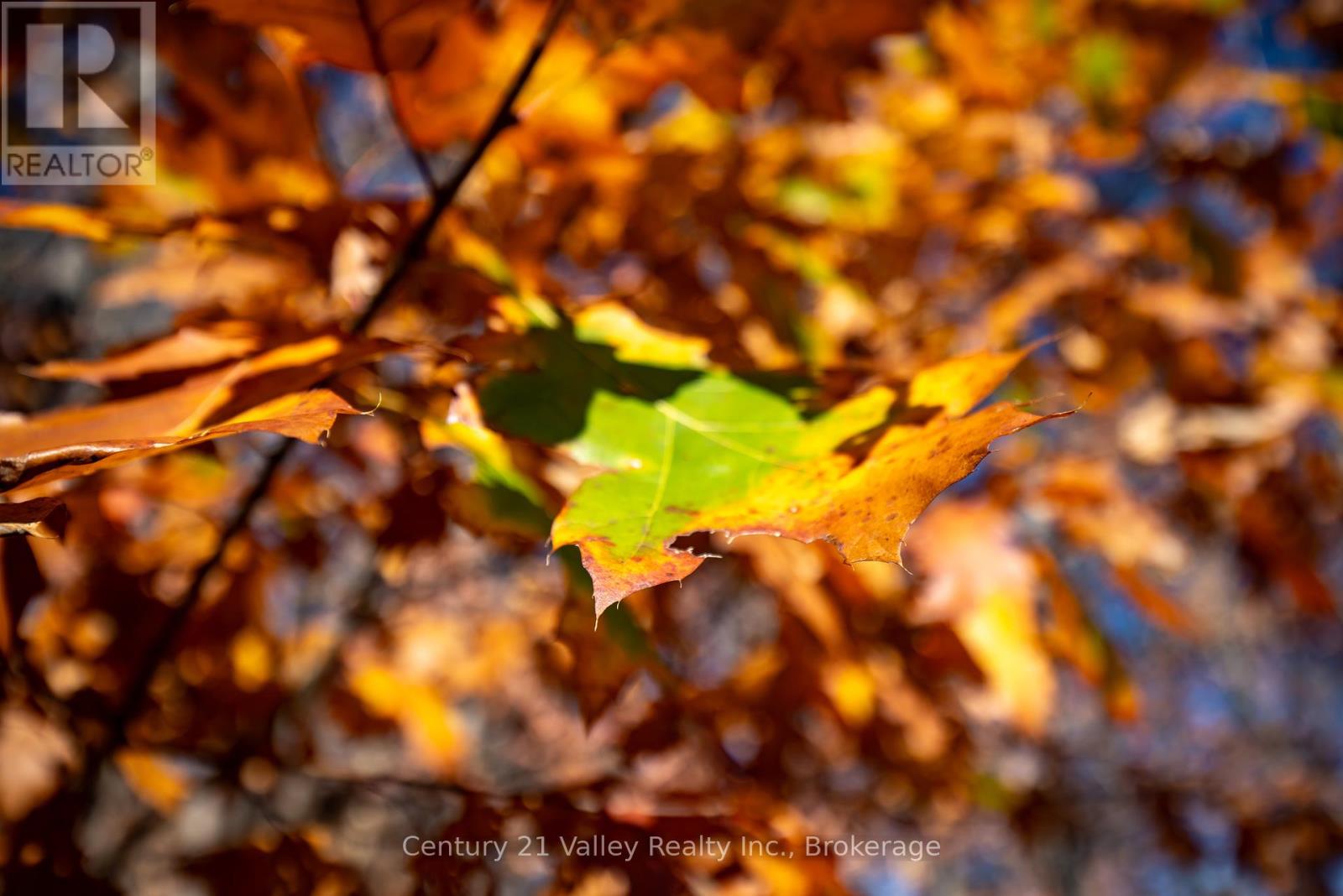 0 Gorman Road, Bonnechere Valley, Ontario  K0J 2A0 - Photo 24 - X12465626