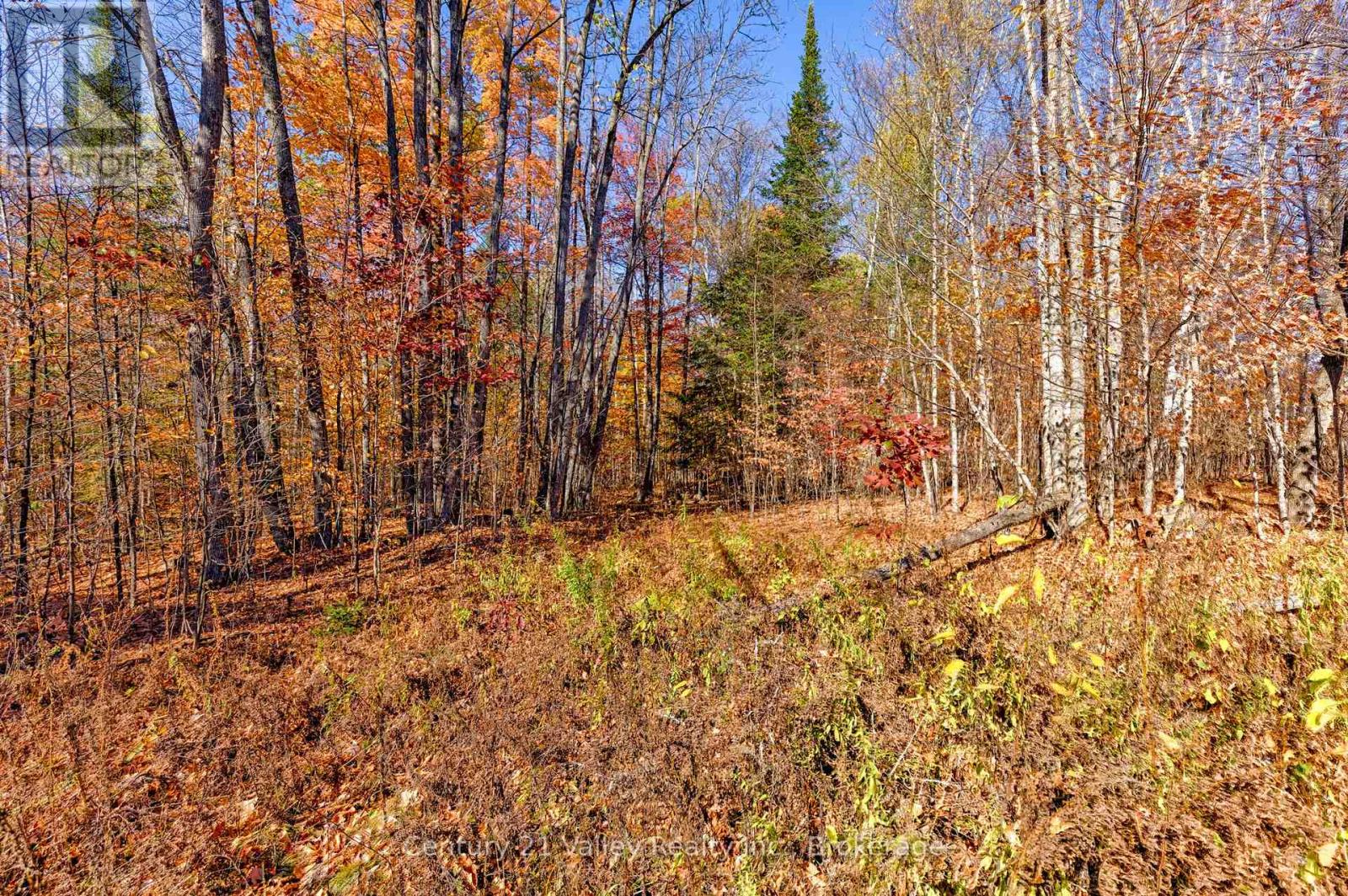 0 Gorman Road, Bonnechere Valley, Ontario  K0J 2A0 - Photo 25 - X12465626