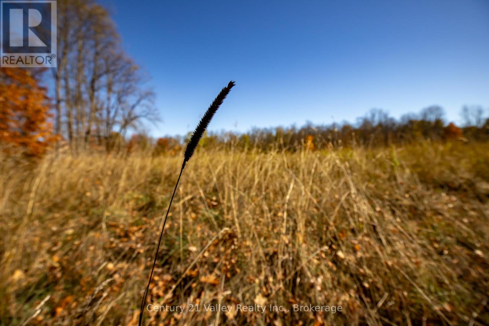 0 Gorman Road, Bonnechere Valley, Ontario  K0J 2A0 - Photo 26 - X12465626